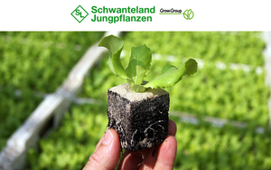 Schwanteland Jungpflanzen GmbH
