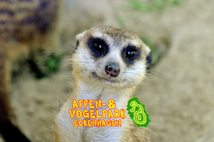 Affen- und Vogelpark Eckenhagen