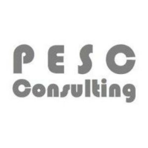 PESC Consulting