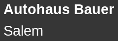 Autohaus Bauer Inh. Holger Bauer e.K.