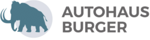 Autohaus Burger GmbH & Co. KG